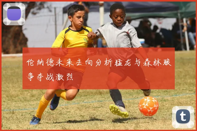 伦纳德未来去向分析猛龙与森林狼争夺战激烈